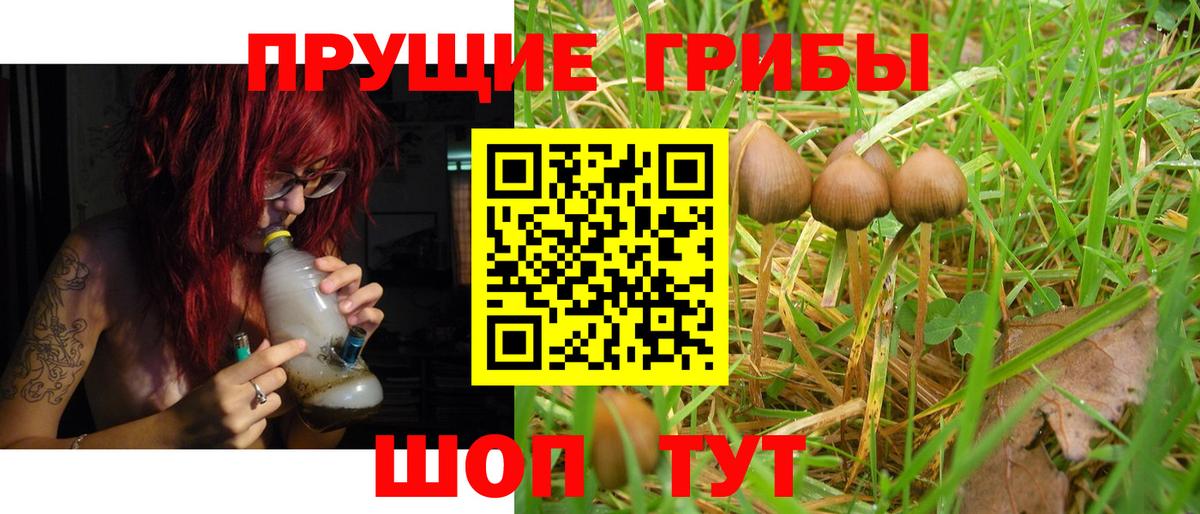 Галлюциногенные грибы мухоморы  Вход с VPN  Анжеро-Судженск 
